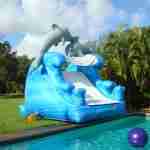 fotos_bounce_house_081