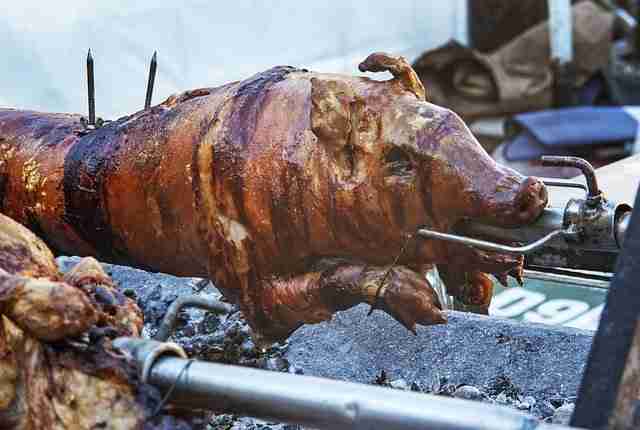 suckling-pig-roast