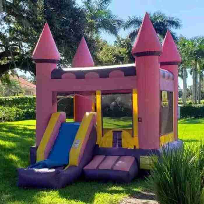 Pink Princess themed bounce house rental